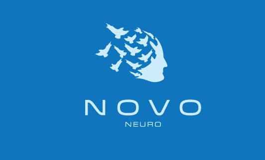 logo with head and birds