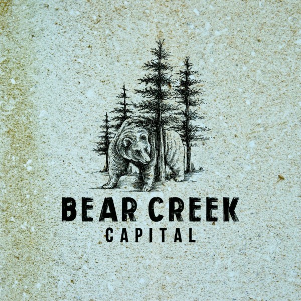 INVESTMENT FUND logo
