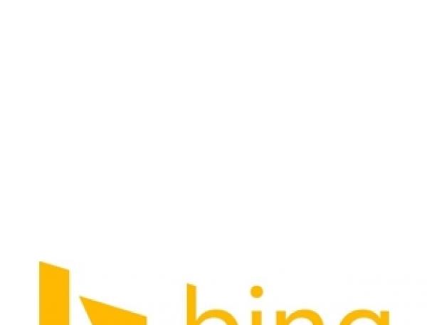 必應(yīng)Binglogo標(biāo)志標(biāo)志logo設(shè)計(jì)，品牌vi設(shè)計(jì)