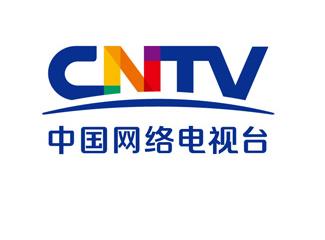 中國(guó)網(wǎng)絡(luò)電視臺(tái)CNTV標(biāo)志標(biāo)志logo設(shè)計(jì)，品牌vi設(shè)計(jì)