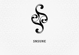 SNSUNE商店標(biāo)志標(biāo)志logo設(shè)計(jì)，品牌vi設(shè)計(jì)