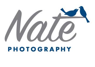 Nate標(biāo)志標(biāo)志logo設(shè)計(jì)，品牌vi設(shè)計(jì)