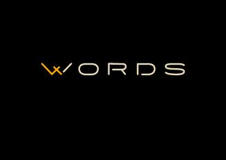 WORDS標(biāo)志logo設(shè)計(jì)，品牌vi設(shè)計(jì)