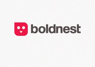 boldnest標(biāo)志標(biāo)志logo設(shè)計，品牌vi設(shè)計