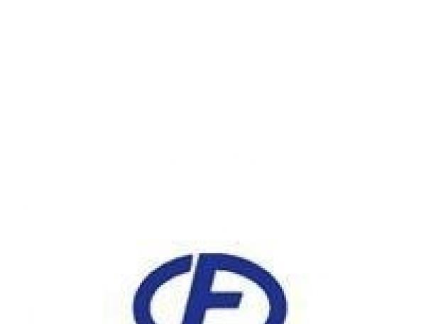 方大集團標志含義標志logo設計，品牌vi設計