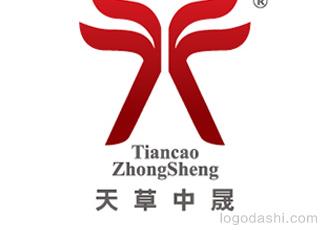 天草中晟科技標(biāo)志logo設(shè)計，品牌vi設(shè)計