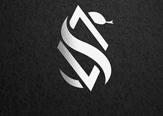 蛇與鉆石標(biāo)志logo設(shè)計，品牌vi設(shè)計